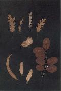Paul Klee Herbarium USA oil painting artist